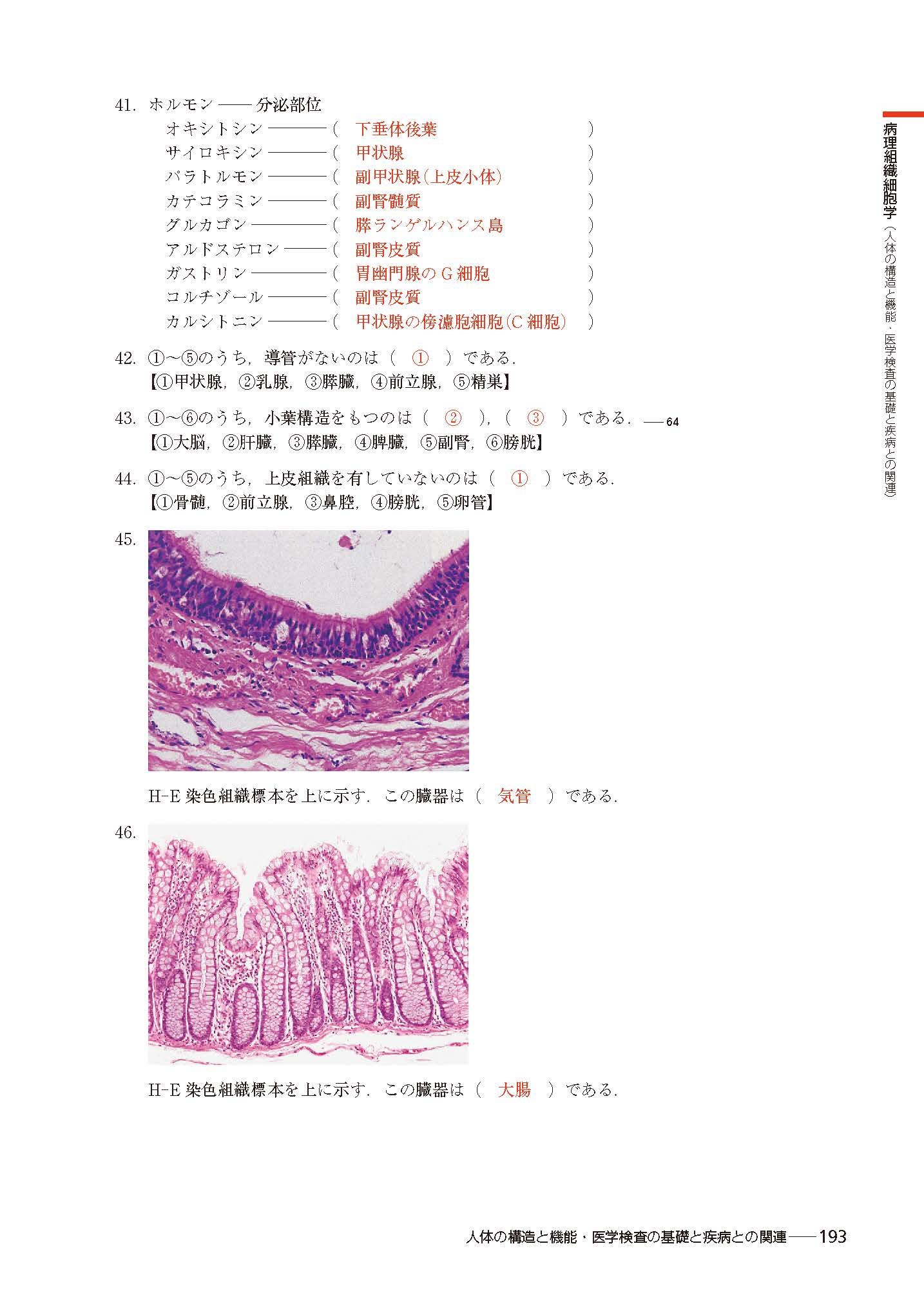 74 G 内分泌系のしくみと働き 1 神経系と内分泌系 神経系による調節