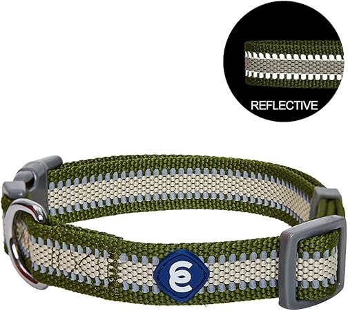 blueberry pet collars amazon