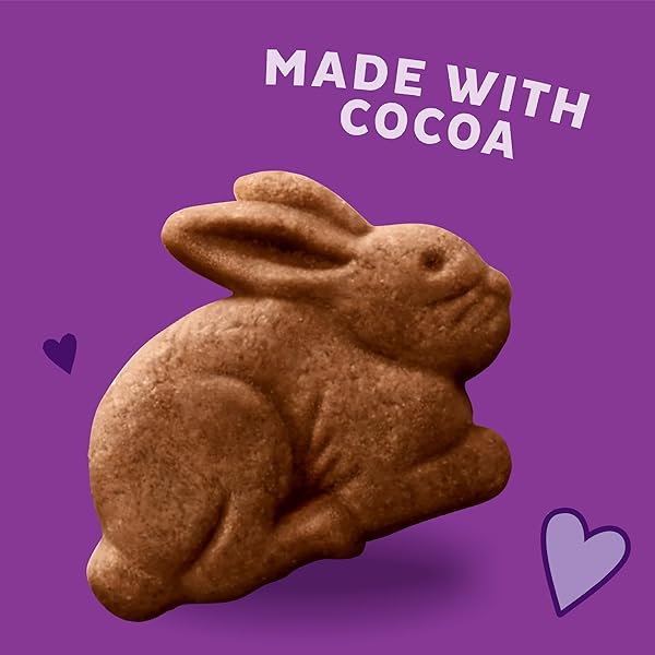 ANNIES HOMEGROWN COOKIE BUNNY GRAHAM CHOC