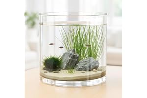 Maxdot 1.66 Gallon Cylindrical Glass Fish Tank Solid Base, 360° Full View Desktop Aquarium Starter, Easy to Maintain Small Microfauna for Betta Snails Shrimp Aquatic Planting and Small Plant Terrarium