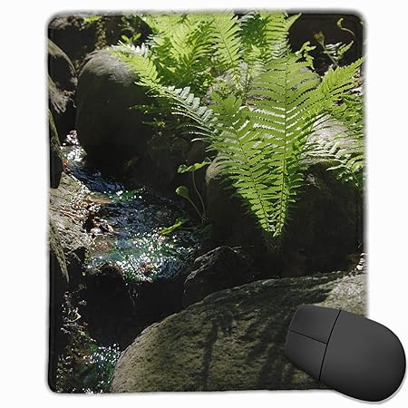 Fern Stream The Stones Mouse Pad Non Slip Rubber Backing Gaming Mouse Pad 9.8x12 Inch(25cm*30cm)