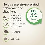 Beaphar StressLess Herbal Calming Spot-On for Dogs 3 x 1 Week Doses view 5