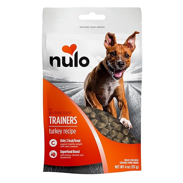 NULO FREESTYLE GRAIN-FREE HEALTHY DOG AND PUPPY TRAINING TREATS, LOW CALORIE TREATS MADE WITH SUPERFOOD BOOST INGREDIENTS, 2 CALORIES PER TREAT , 4 OUNCE (PACK OF 1)