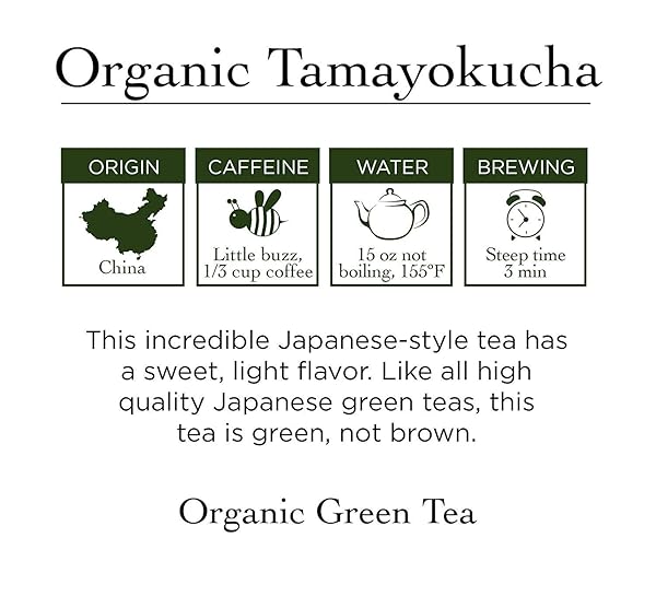 TWO LEAVES AND A BUD ORGANIC TAMAYOKUCHA GREEN TEA BAGS, WHOLE LEAF GREEN TEA IN COMPOSTABLE SACHETS, JAPANESE GREEN TEA, LIGHT FLAVOR, 100 COUNT (PACK OF 1)