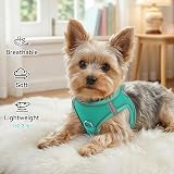 Joytale XXS Step In Dog Harness Teal Reflective Breathable Mesh view 4