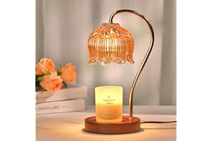 Flower Candle Warmer Lamp with Timer, Dimmable Candle Lamp Warmer, Mothers Day Birthday Gifts for Mom Wemen Her Wife, Anniver