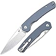 CJRB Kain Pocket Knife for Men, 2.95'' AR-RPM9 Steel Blade G10 Handle Folding Knife with Pocket Clip for Camping Hiking Survival, Designed by Sanford Owen(J1956)
