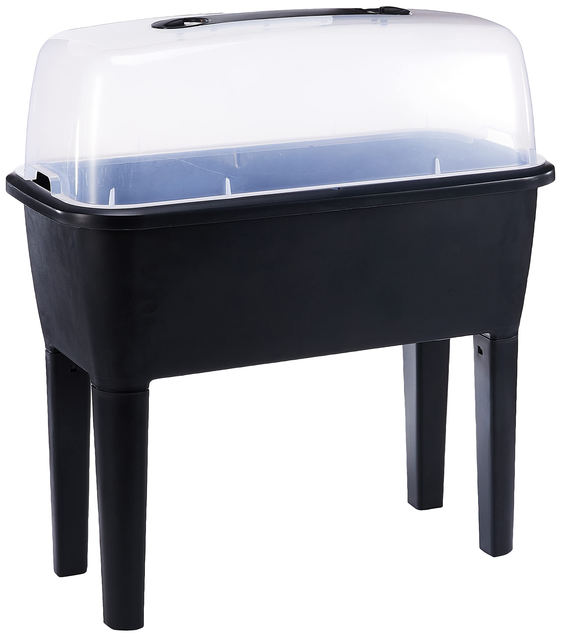 Zanvic ESPA Urban Orchard,Anthracite