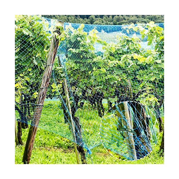 4-M-x-10-M-Anti-Bird-Protection-Net-Garden-Plant-Mesh-Netting-Fruit-Trees-Netting-with-Cable-Ties-and-U-Shaped-Garden-Pegs-Green Birds Netting Garden Green Anti Bird Protection Net for Fruit and Vegetables Plant Tree Mesh Netting Against Animals…