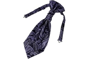 Epoint Cravat Necktie For Party Silk Pretied Ascot Cravat Tie 12 Inch Clip-On Adjustable