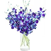 Premium Cut Blue Orchids (10 Stems Orchid with Vase)