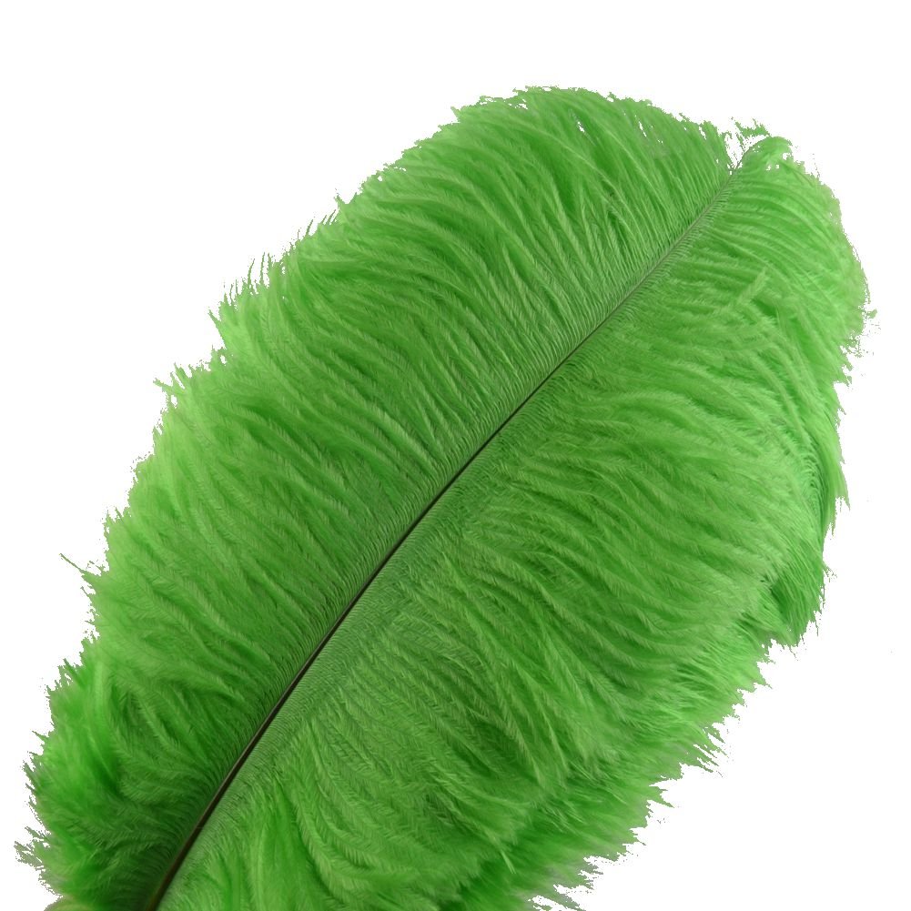 Sowder 10pcs Ostrich Feathers 12-14inch(30-35cm) for Home Wedding Decoration(Lime Green)