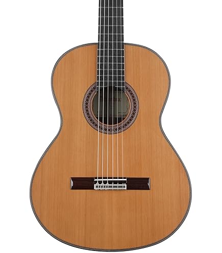アコースティックギター　alhambra Alhambra Z Nature CT EZ – United States