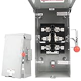 Lezbanz Manual Transfer Switch 100 Amp NEMA