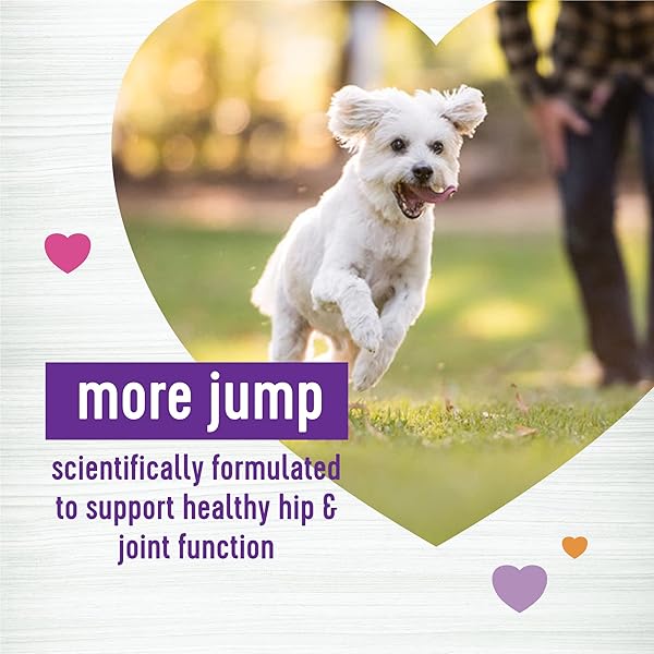 WELLNESS GRILLED CHICKEN FLAVORED SOFT CHEWS HIP & JOINT HEALTH SUPPLEMENTS FOR DOGS, 90 COUNT
