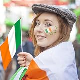 AhfuLife Irish Flags on Sticks 15 Pcs Hand Held Flags Ireland Party Decor view 4