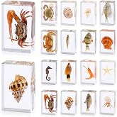 16 Pcs Ocean Animal Insect in Resin Specimen Bugs Collection Paperweights，16 Styles Real Bug Specimen Bug Kit Preserved in Resin for Scientific Educational Display Supplies (Ocean)