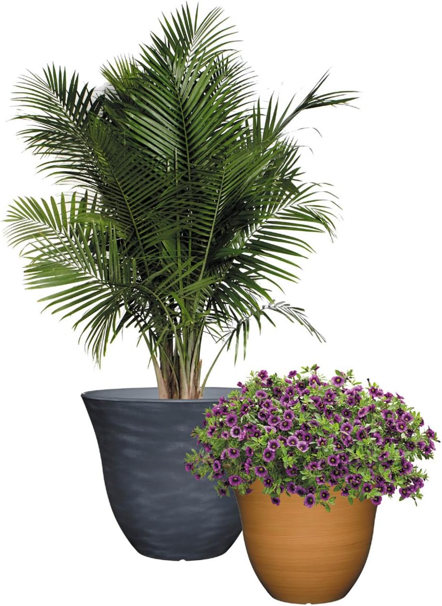 Classic Home and Garden Patio Pot Honeysuckle Planter, 15 Inch, Fossil : Garden & Outdoor