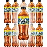 Brisk Lemon Iced Tea 20oz Bottles (Pack of 12, Total of 240 Fl Oz)