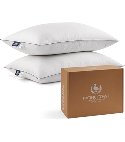 Aazon.co: Down Dreas Official Classic Pillow King Set of 2