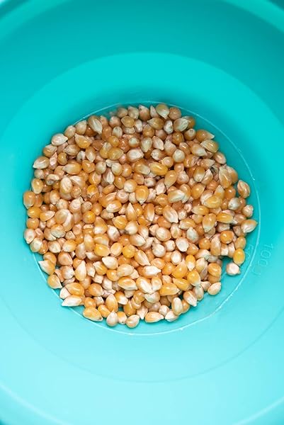AMISH COUNTRY POPCORN | OLD FASHIONED MICROWAVE POPCORN | 10 BAGS LADYFINGER BUTTER | NON-GMO, GLUTEN FREE, MICROWAVEABLE AND KOSHER (10 BAGS)