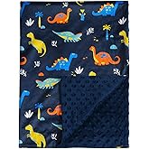 david's kids Micro Fleece Minky Baby Blanket for Boys with Double Layer and Soothing Raised Dots, Breathable and Soft Lightweight Receiving Blanket for Newborns, 30x40 Inches, Dinosaur