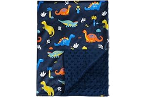 david's kids Micro Fleece Minky Baby Blanket for Boys Girls with Double Layer and Soothing Raised Dots, Breathable and Soft L