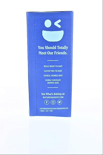 NATURE’S BAKERY BLUEBERRY FIG BARS, 2 OZ, 6 CT