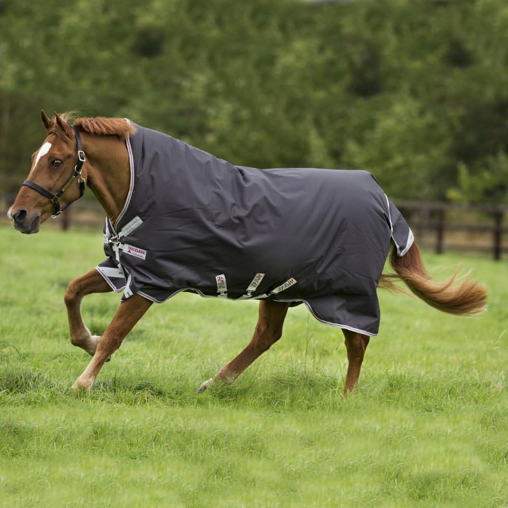 Horseware Ireland Amigo Bravo 12 plus T/O Lite Disc - Boutique uus