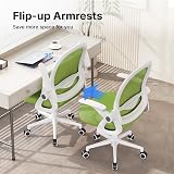 naspaluro Ergonomic Mesh Office Chair Green with Flip-Up Armrests & Lumbar view 2