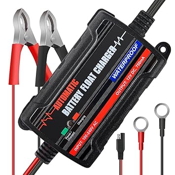 MICTUNING 6V 12V 750mA Auto Batterie-Ladegerät Erhaltungsladegerät mit Garantie