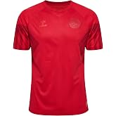 Hummel Men's Denmark Home Jersey (as1, Alpha, s, Regular, Regular, Small)