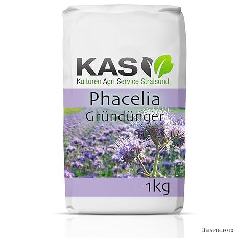 1 kg Phacelia; Gründünger, Bienenweide