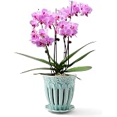 SUADEN 5" Ceramic Orchid Pots with Holes, Drainage and Separate Saucer | Crackle Glazed, Vintage, Breathable
