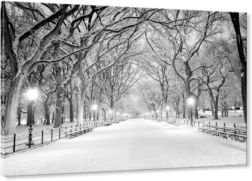 Posters & Prints - SEVEN WALL ARTS Beautiful Winter Canvas Wall Art Landscape Snowy Trees Central Park Canvas Art Modern Cool Wall Pictures Giclee Print on Canvas Modern Bedroom Living Room Home Decoration,Framed 36