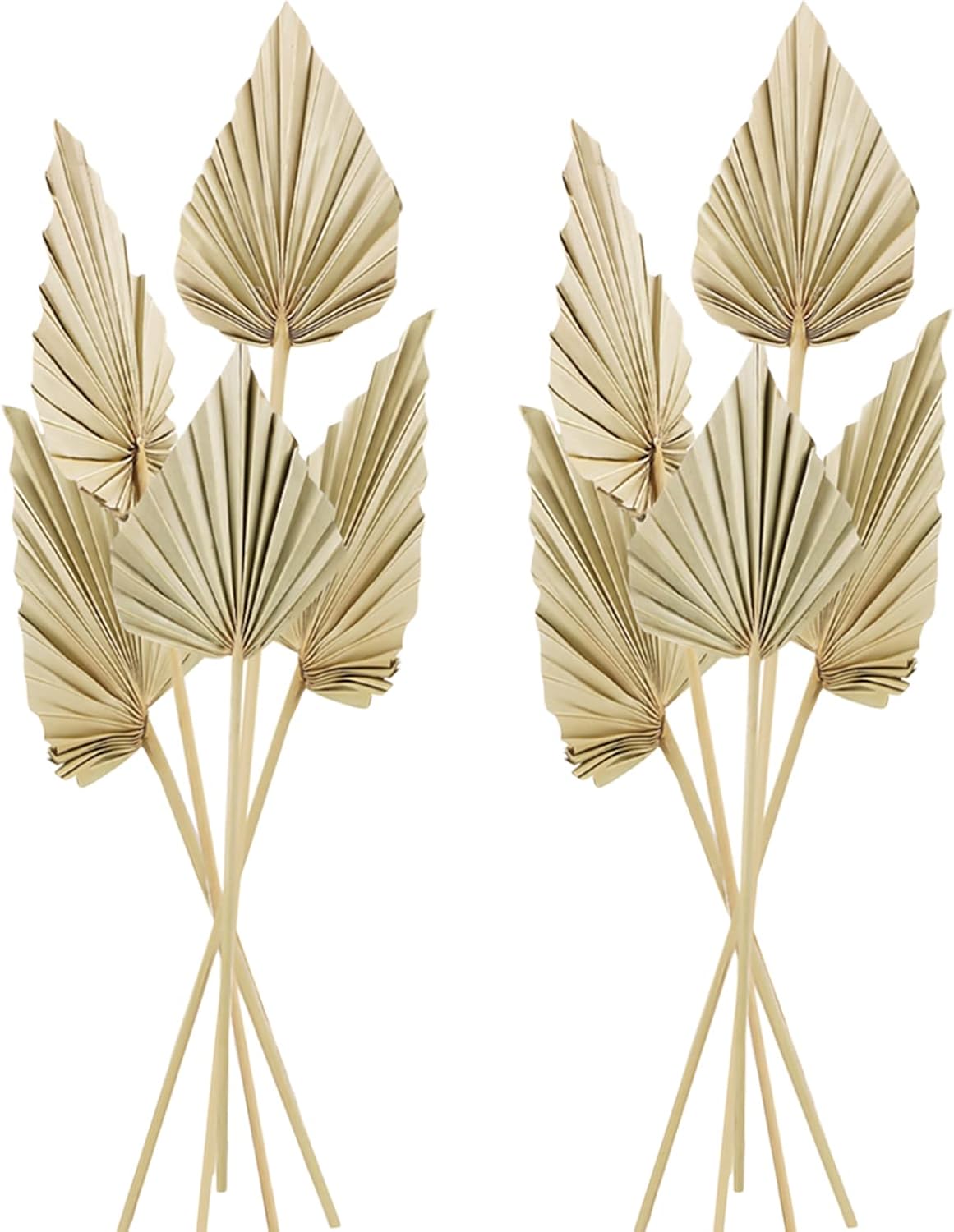 Dried & Preserved Flora - Chenkaiyang 10 Pcs Boho Dried Palm Spears Leaves Bulk, Small Natural Dried Real Palm Fans,Dried Palm Leaves with Stem Dried Leaf Boho Home Decor for Vase Wedding Office Home(10 Pieces)