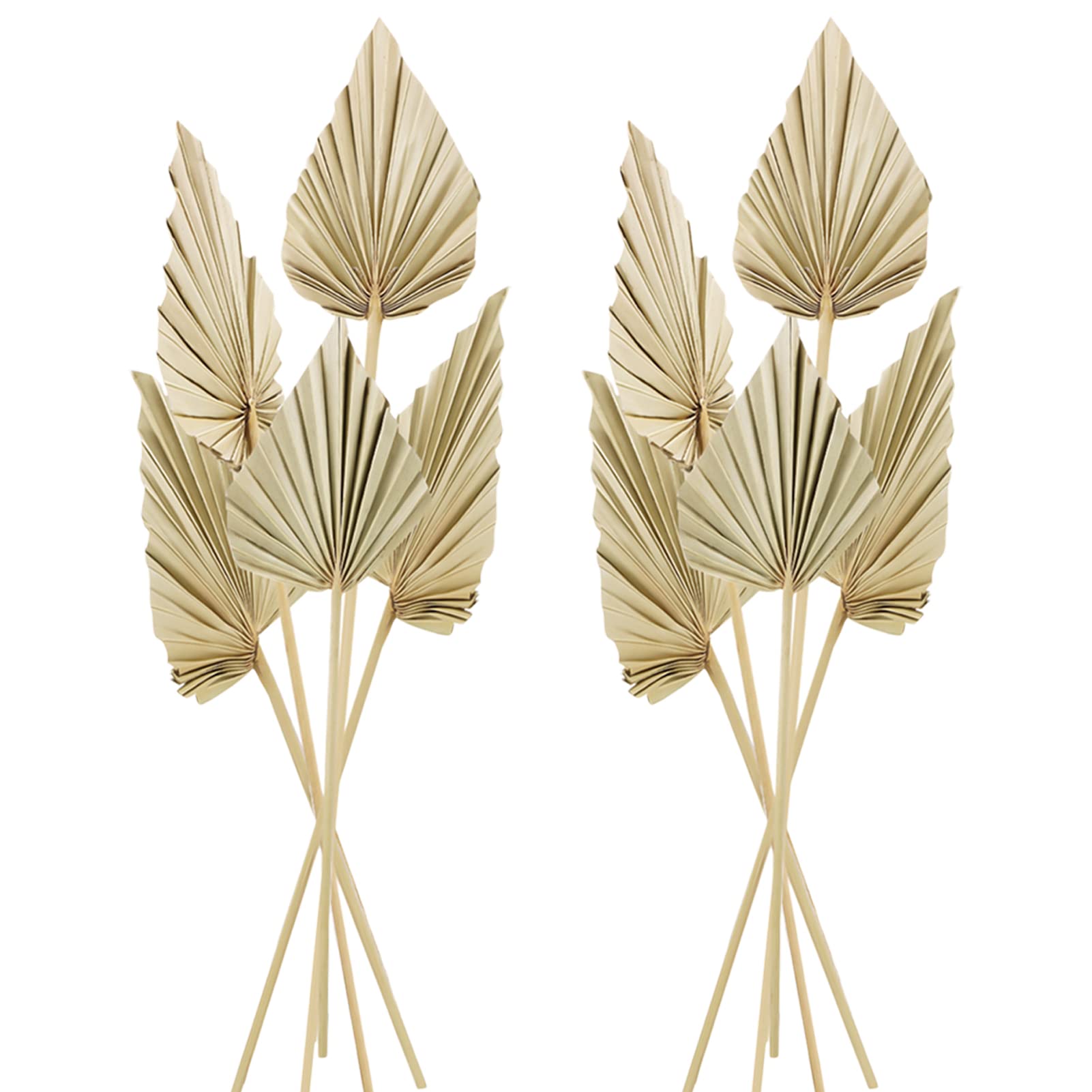 Photo 1 of Cenkaiyang 10 Pcs Boho Dried Palm Spears Leaves, Real Palm Fans with Stem, Boho Home Decor for Vase, Wedding, Office, Home (10 Pieces)