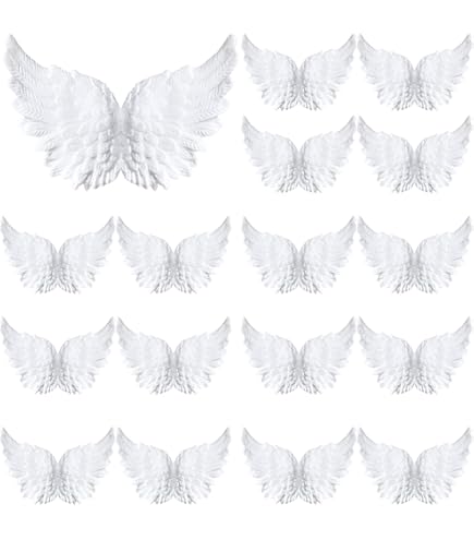 Amazon.com: Lind Kitchen 12PCS Mini Wings DIY Costume Backpack