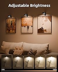 EZVALO Picture Lights for Wall with Charging