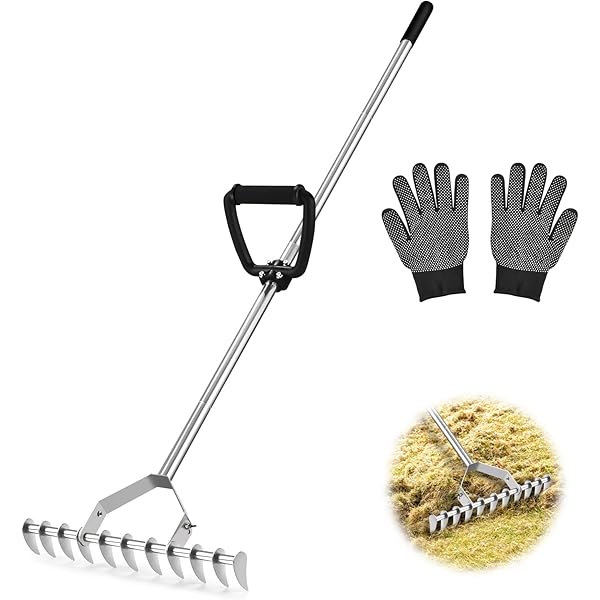 Image of Curved-tine rake garden tool