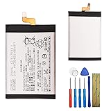E-YIIVIIL Replacement Battery LIP1701ERPC