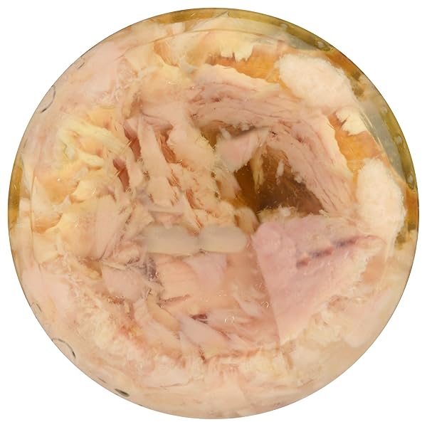 TUNA FISH POLE AND LINE (PACK OF 1, OLIVE OIL)