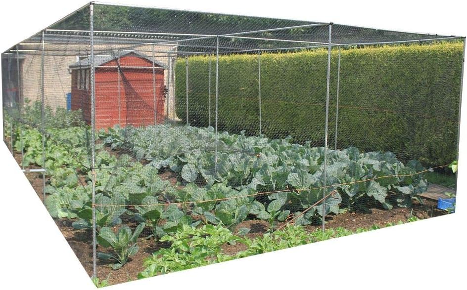 GardeningNaturally Large WalkIn Vegetable Cage (1.5m x 2m(Soft