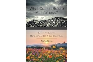 What Comes Before Mindfulness?: Right Effort and the Buddhist Path to Enlightenment