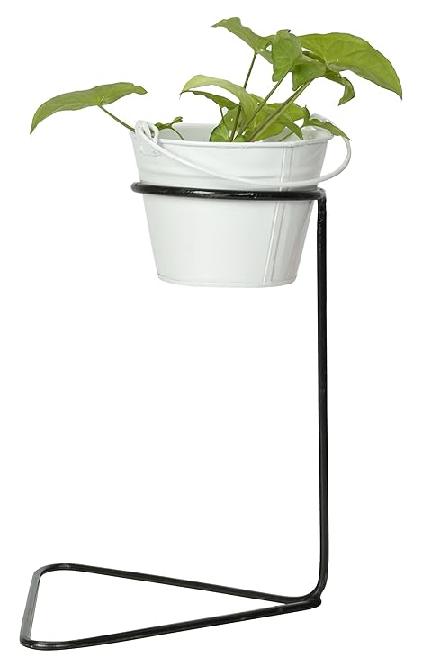 Green Gardenia Iron Table Top Plant Stand with GI Metal- Planter (White)