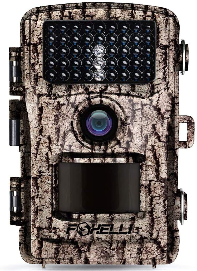 motion game camera