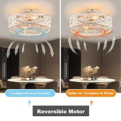 HUEOCZW 20" Caged Ceiling Fan with Light and