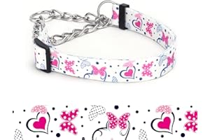 haoyueer Martingale Dog Collar - Stainless Steel Chain, No Pull Training Collar with Flower Design for Large Medium Small Dogs (13, L)