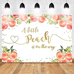 Mocsicka Sweet Peach Backdrop for Girl Baby Shower