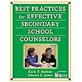 Best Practices for Effective Secondary School Counselors